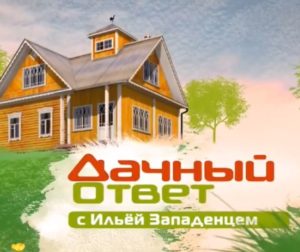 Дачный ответ от 23.08.2026